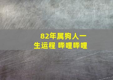 82年属狗人一生运程 哔哩哔哩